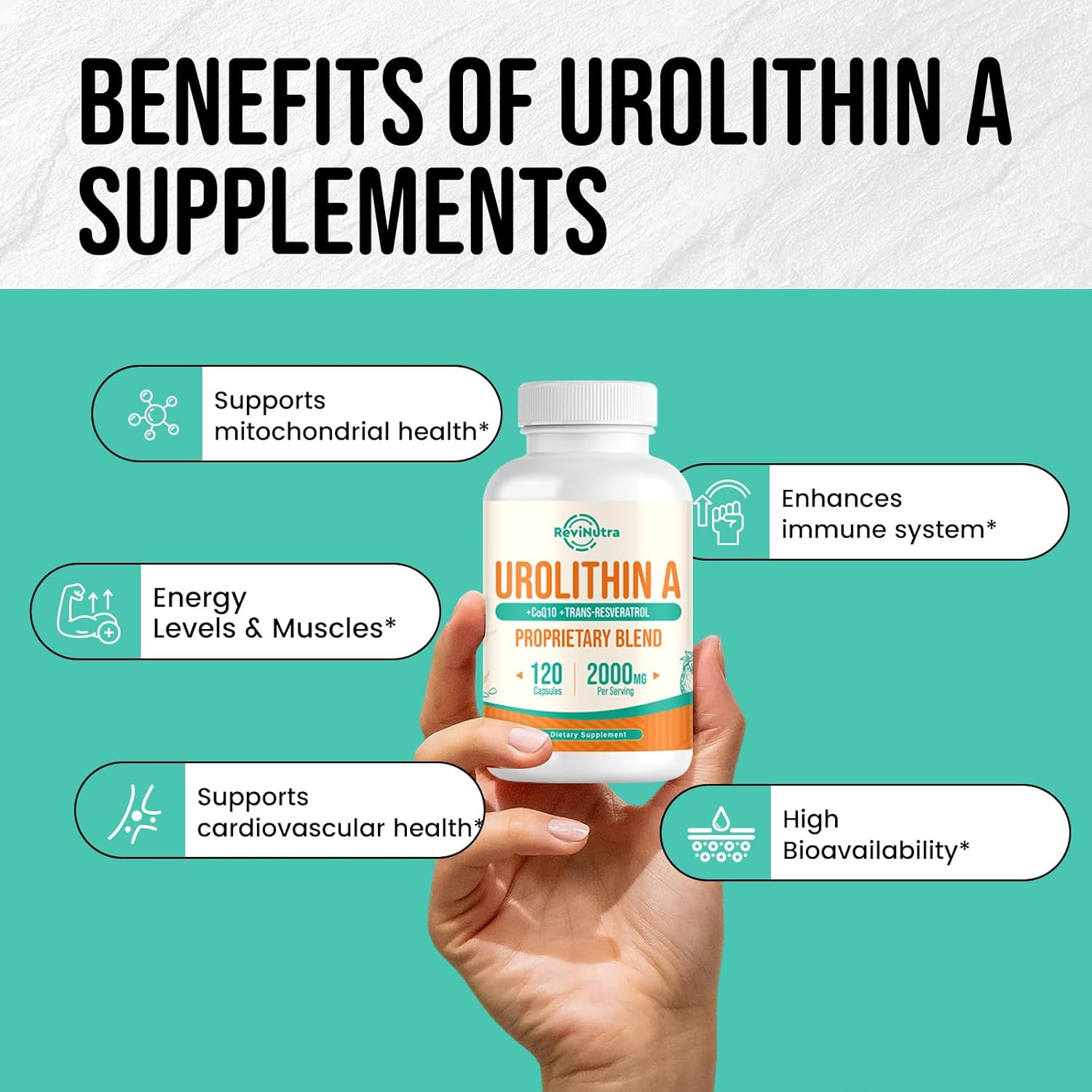 Urolithin A Supplement 2000MG, 120 Capsules B729906