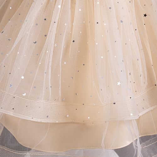 TTYAOVO Flower Girl Dress Princess Birthday Party Wedding Gown P339