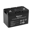 Renogy 12V 100Ah LiFePO4 Deep Cycle Lithium Battery, over 4000 Cycles, Built-in BMS, Backup Power for RV, Marine, Off-Grid System, Maintenance-Free