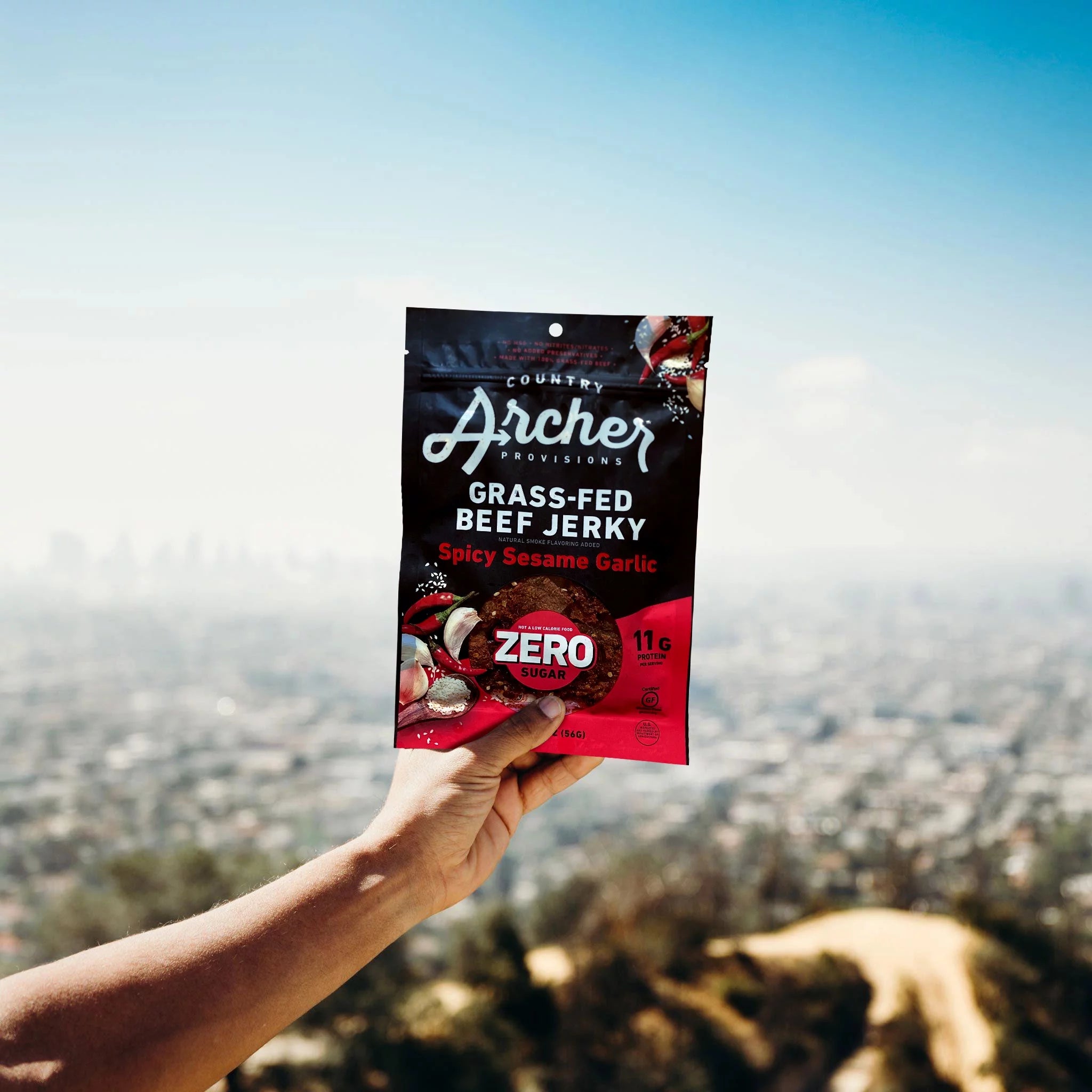 Country Archer Zero Sugar Spicy Sesame Garlic Beef Jerky 2oz 12-Pack F661974
