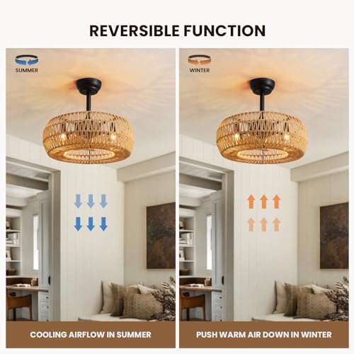 20" Farmhouse Caged Ceiling Fan with Lights and Remote Control R6163