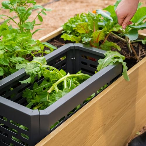 Metal In-Ground Worm Composter for Raised Garden Beds A93398
