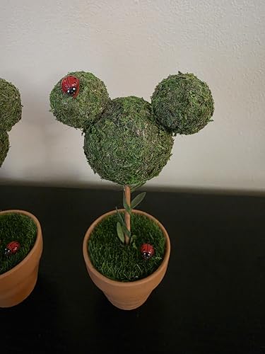Minnie & Mickey Seasonal Topiary Set, 6 inch, Fall Decor N920