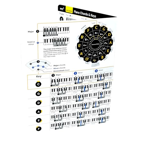 Guitar Chords Chart - Laminated Theory Cheat Sheet for Guitar, 8x8 S112