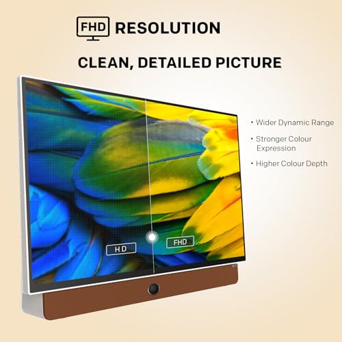 Skyworth 24-Inch Portable Smart Screen with Google TV, 3-Hour Battery Life N6209