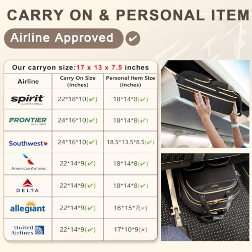 Small Underseat Carry-On Luggage with Wheels, Lightweight Travel Bag, Black Gold G79642