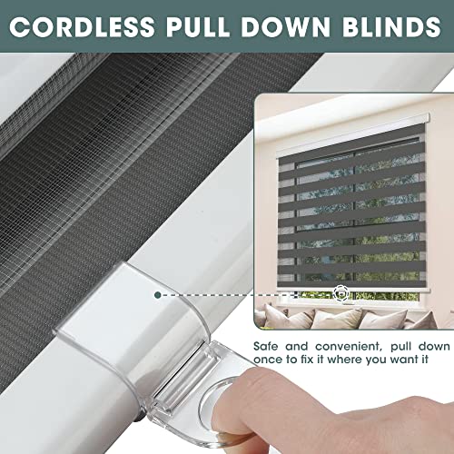 ZOKSUN Cordless Zebra Blinds for Windows, 24" W x 72" H, White W16638