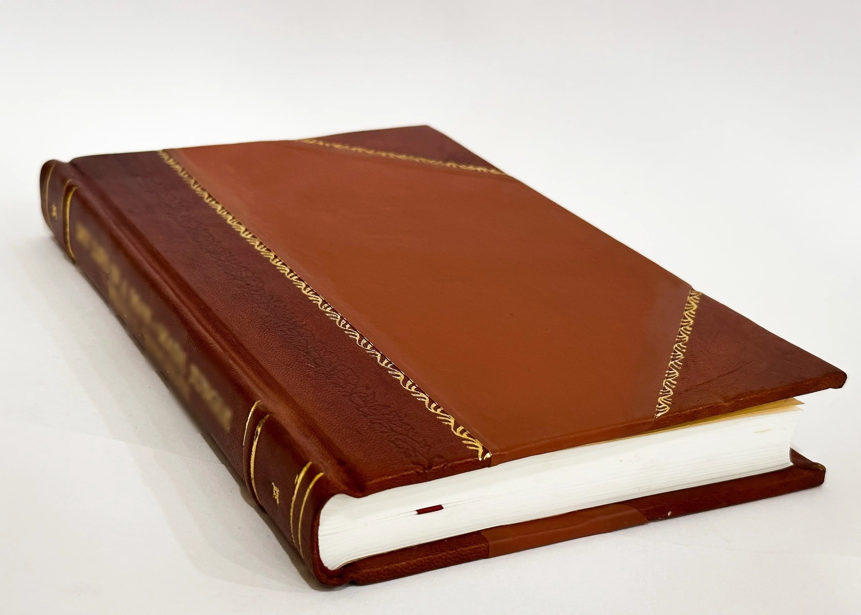Secrets of Meat Curing and Sausage Making by Heller, B., & Co., Chicago (1904) Leather Bound O9569