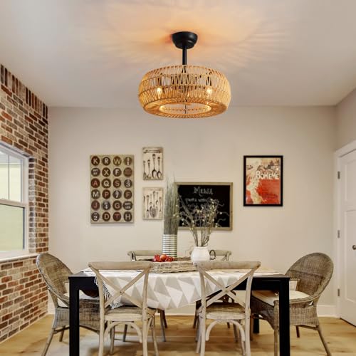 20" Farmhouse Caged Ceiling Fan with Lights and Remote Control R6163