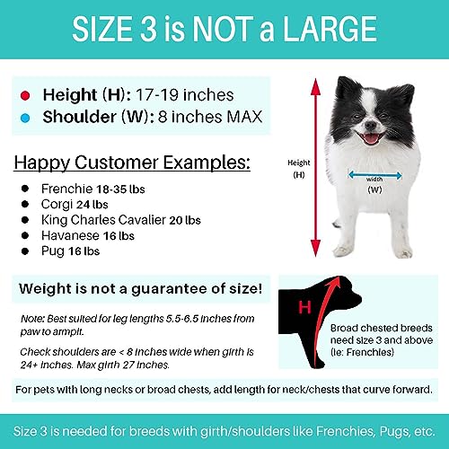 Pandaloon Dog Halloween Costume with Arms for Small and Medium Dogs and Cats A540