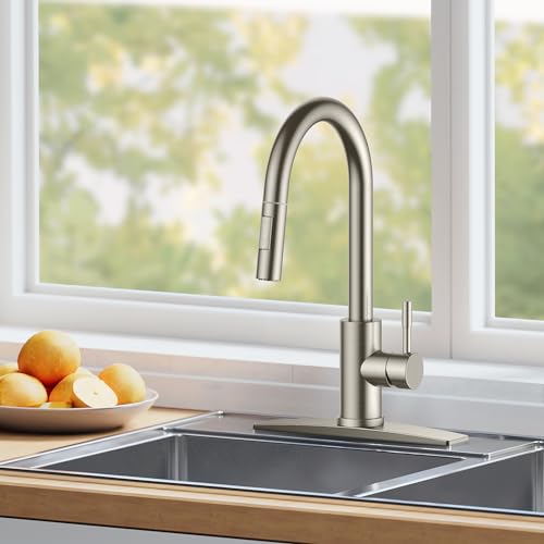 FORIOUS Black Kitchen Faucet with Pull Down Sprayer, Matte Black Stainless Steel W55609