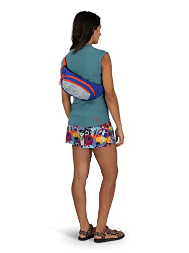 Osprey Daylite Waist Pack F688