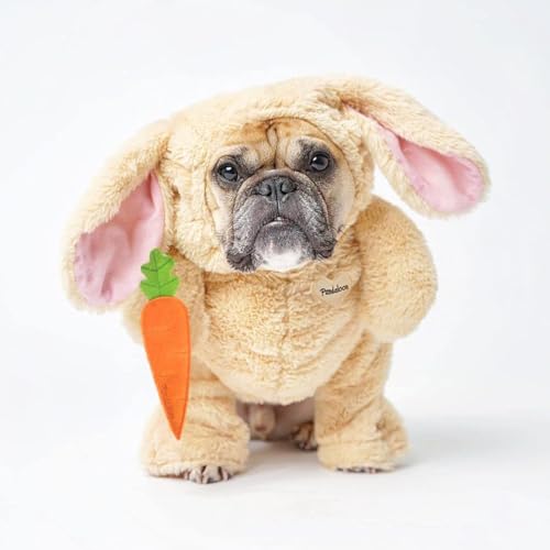 Pandaloon Dog Halloween Costume with Arms for Small and Medium Dogs and Cats A540