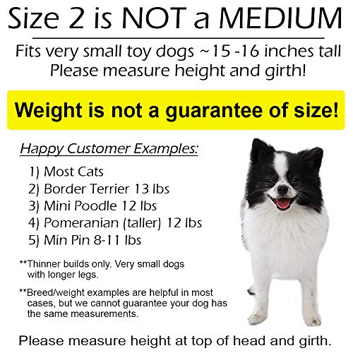 Pandaloon Dog Halloween Costume with Arms for Small and Medium Dogs and Cats A540