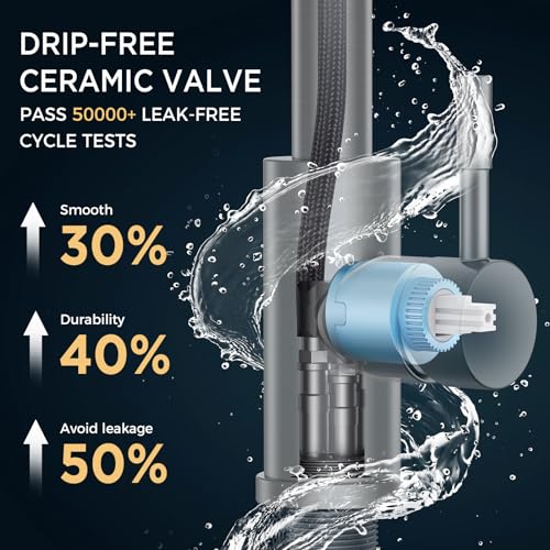 FORIOUS Black Kitchen Faucet with Pull Down Sprayer, Matte Black Stainless Steel W55609